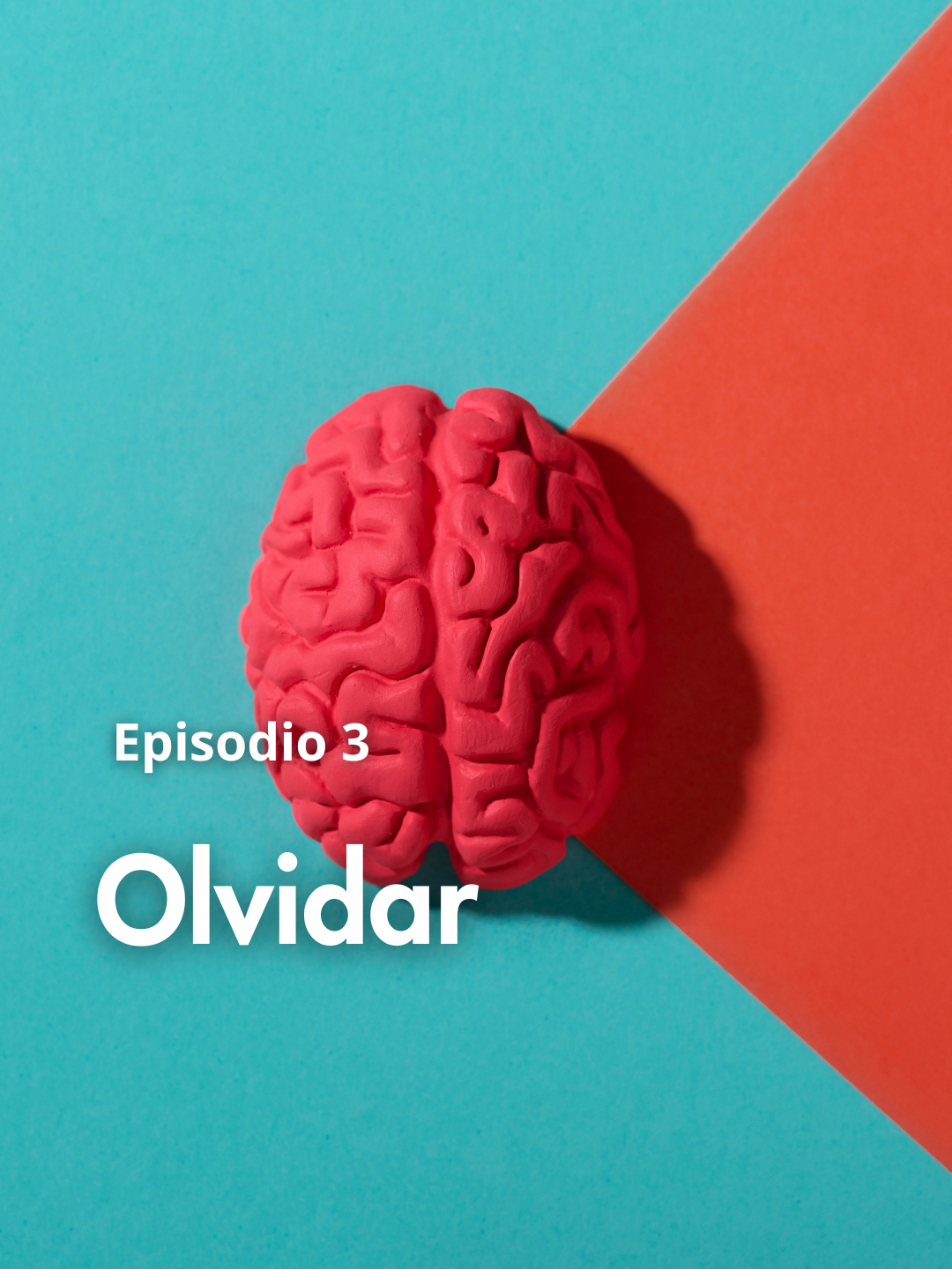 Episodio 03