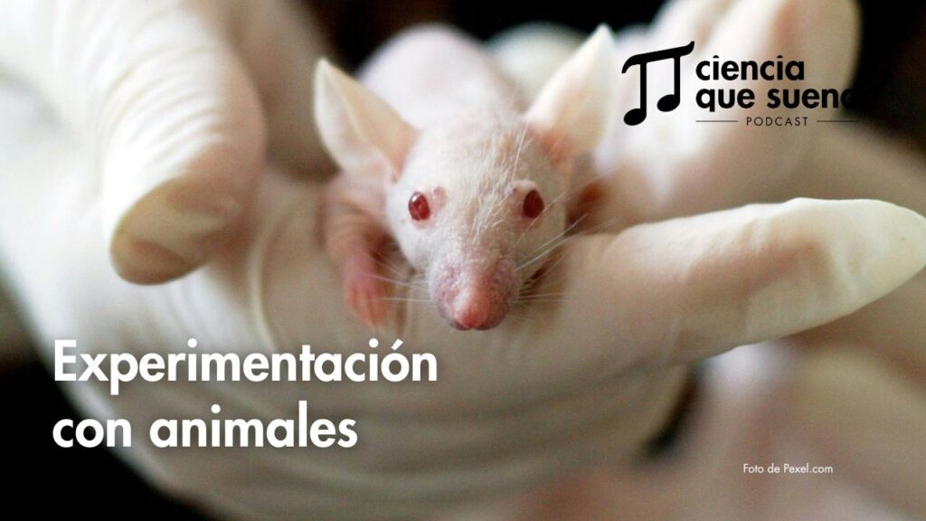 Experimentación con animales